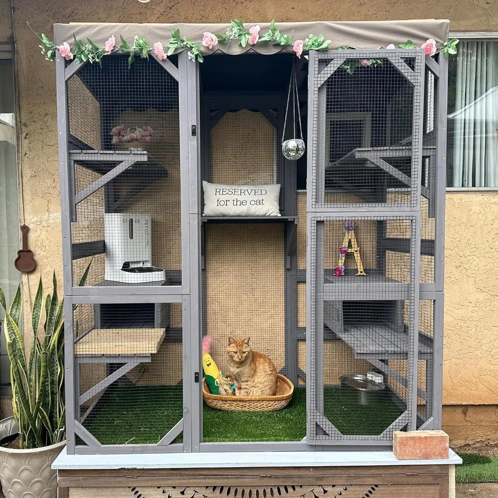 Cat House