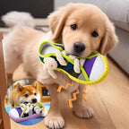 Dog Squeak Toy