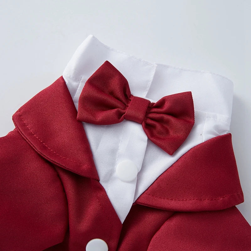 Pet Dog Tuxedo Formal