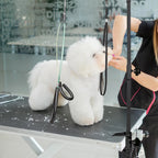 Dog Shower Stand
