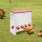Galvanized Metal Chicken Feeder