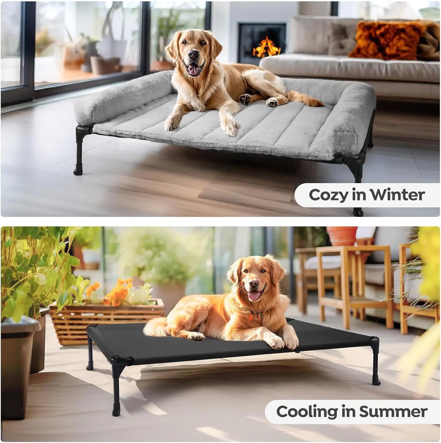 Elevated Orthopedic Dog Bed