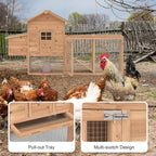 Chicken Coop/2-4 Chickens