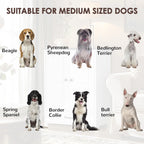 Pet Feeding Station Food Storage