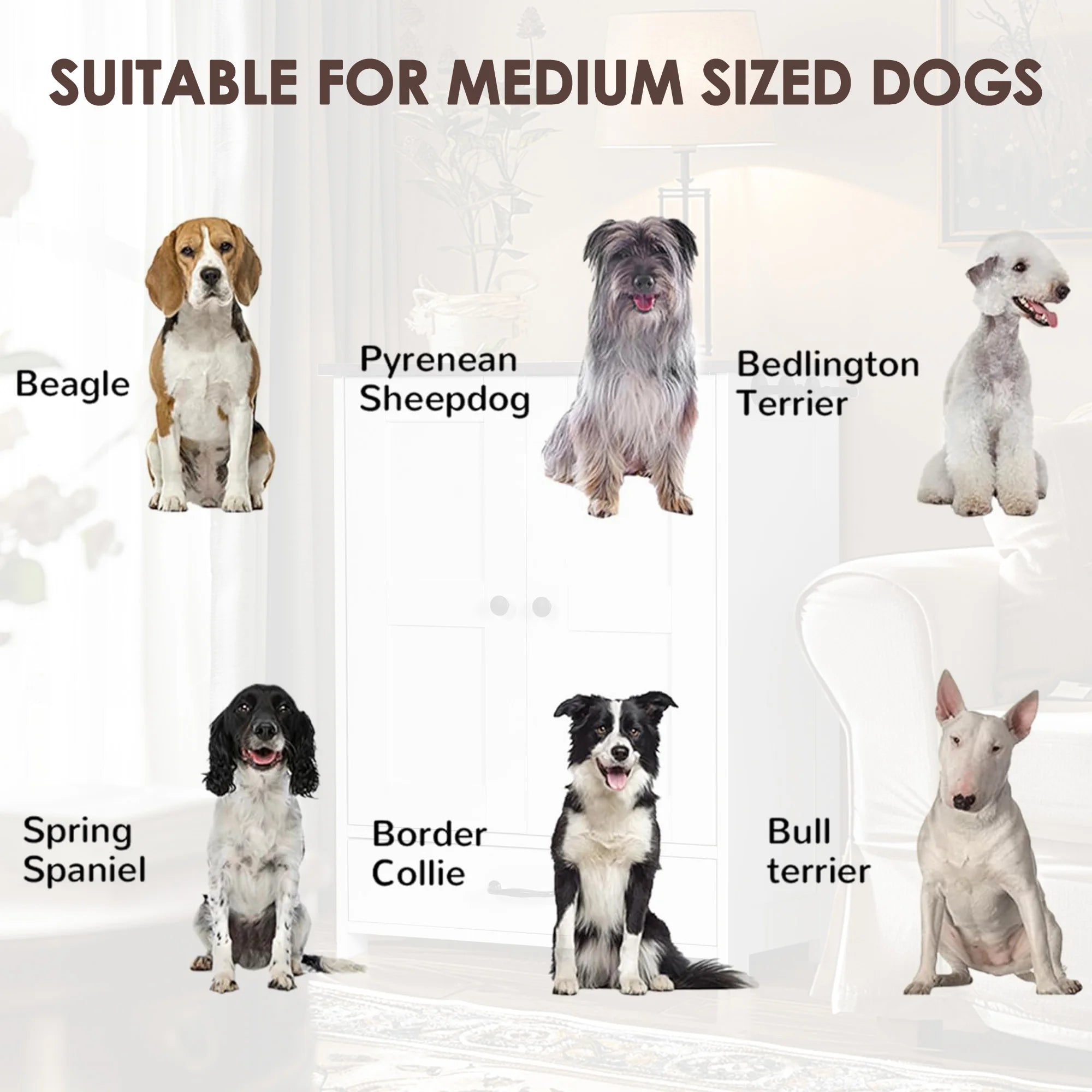Pet Feeding Station Food Storage