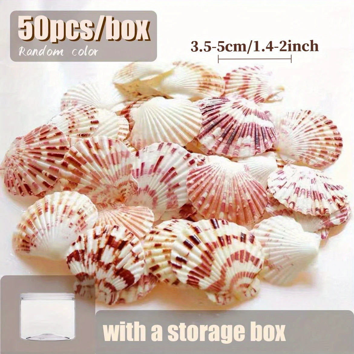 50Pcs Natural Pink Sea Shells