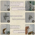 Transparent Automatic Bird Feeder
