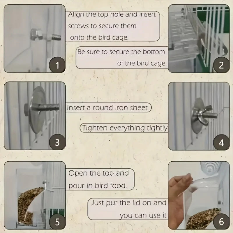Transparent Automatic Bird Feeder