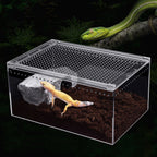 Clear Reptile Terrarium, Stackable