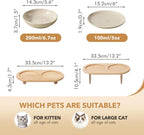 Raised Ceramic Cat Dishes
