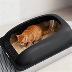 Cat Litter Box with Lid