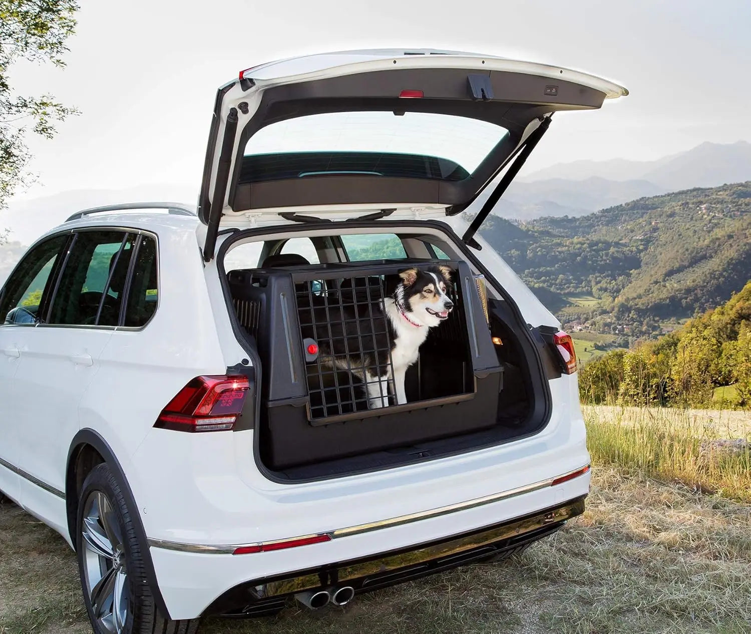 SUV Dog Crate