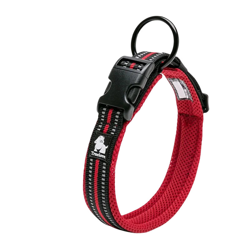 Dog Walking Collar with Buckle