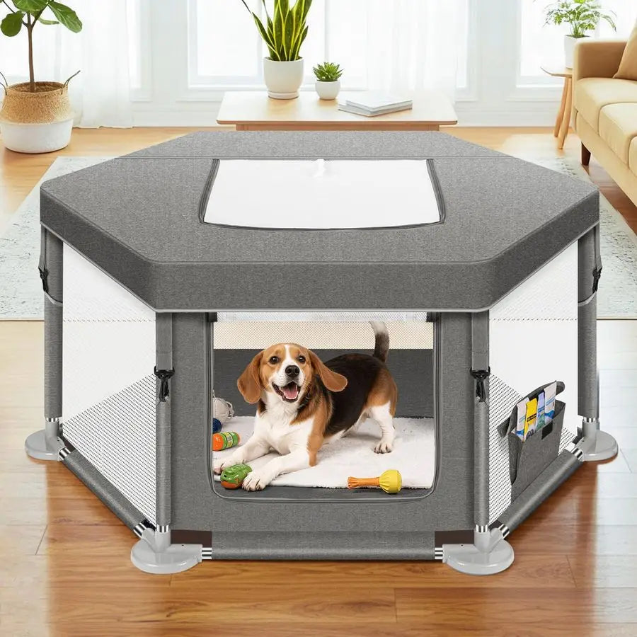 Play Pen Indoors