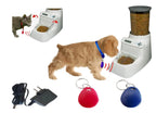 ® AI, RFID, Access Control