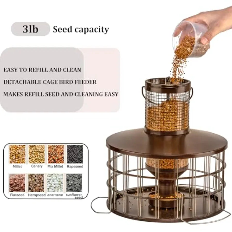 Squirrel Proof Bird Feeders