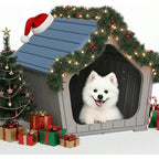 Dog House