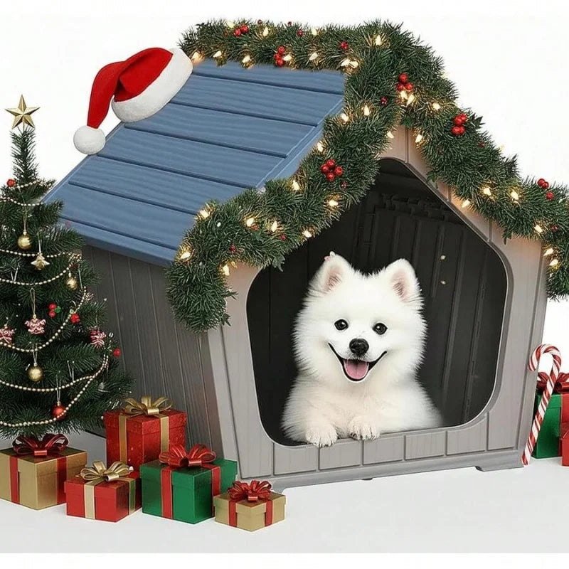 Dog House