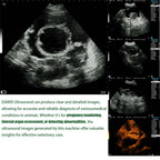 Portable Veterinary Ultrasound Scanner