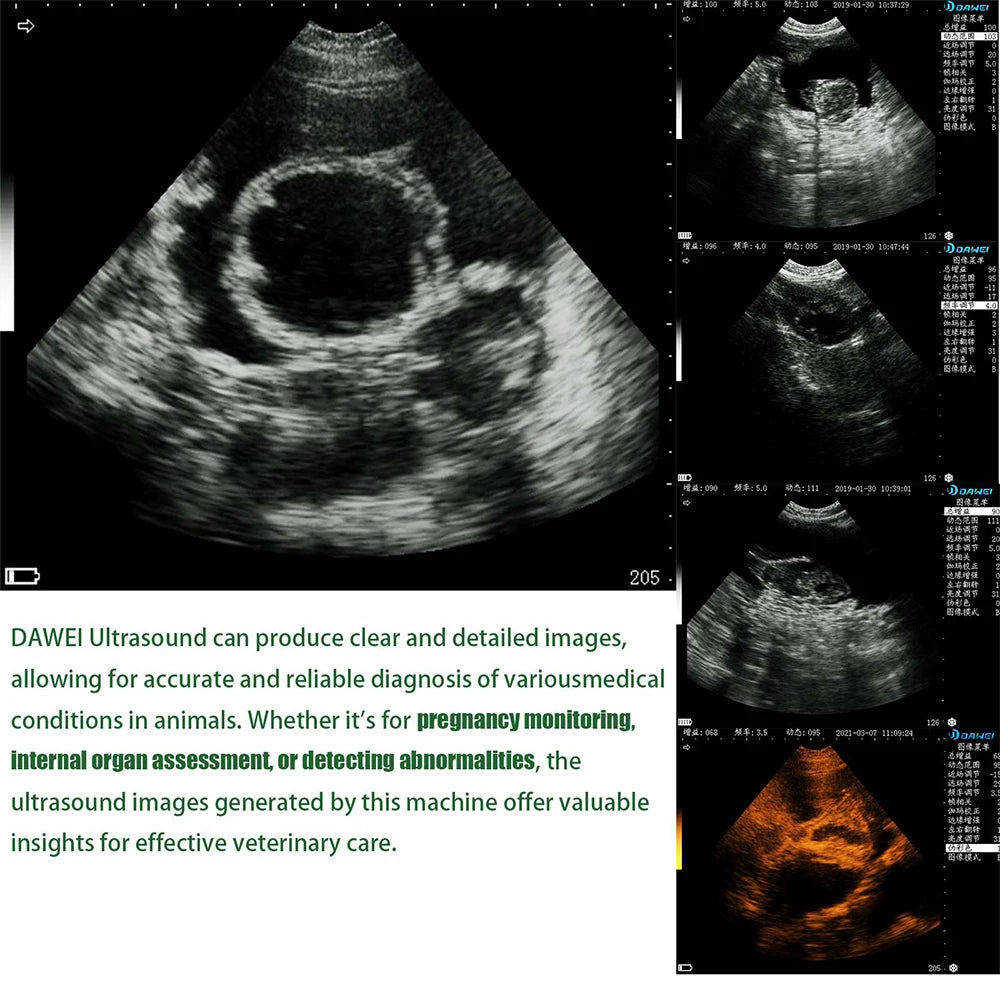 Portable Veterinary Ultrasound Scanner