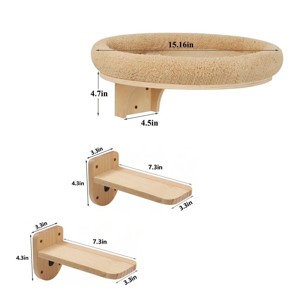 Wall Mounted Climbing Ladder
