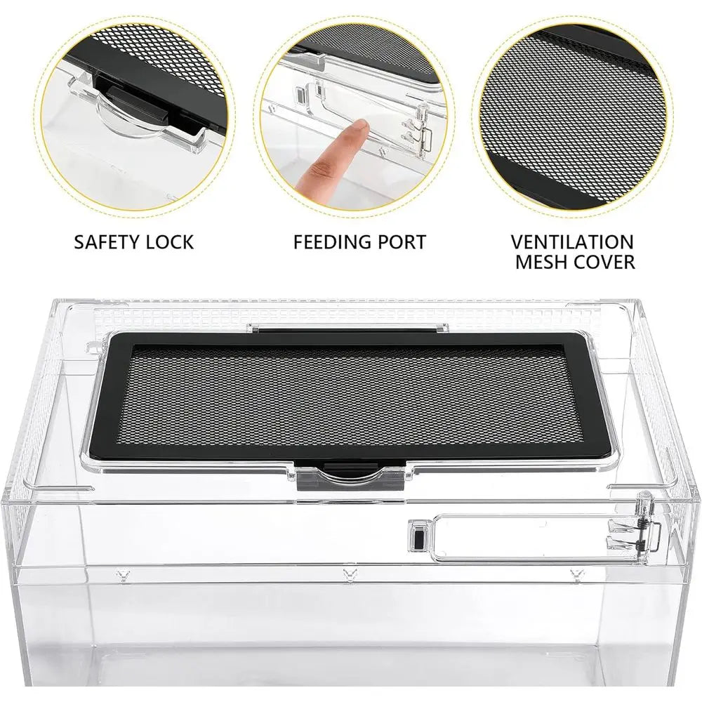 Polycarbonate Terrarium Kit
