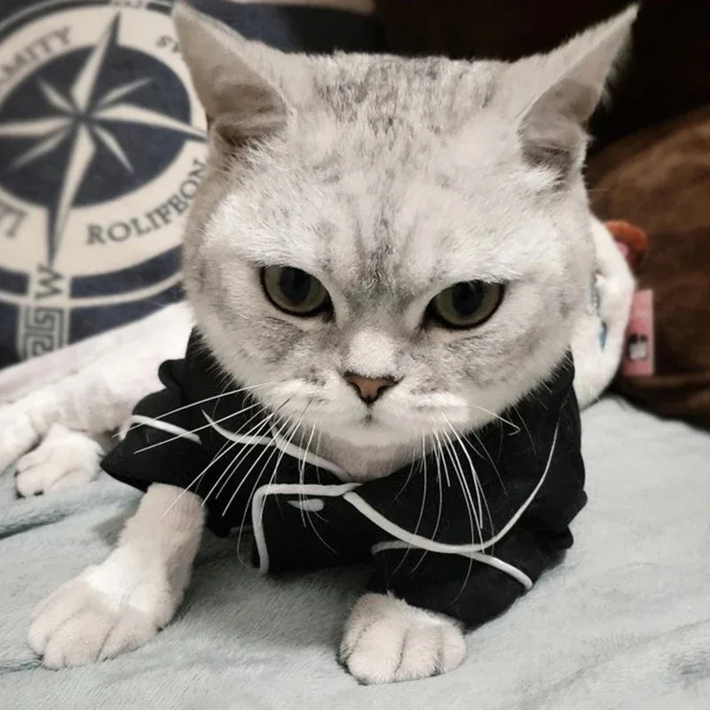 Cat Costume Sphynx Sweatshirt Suit