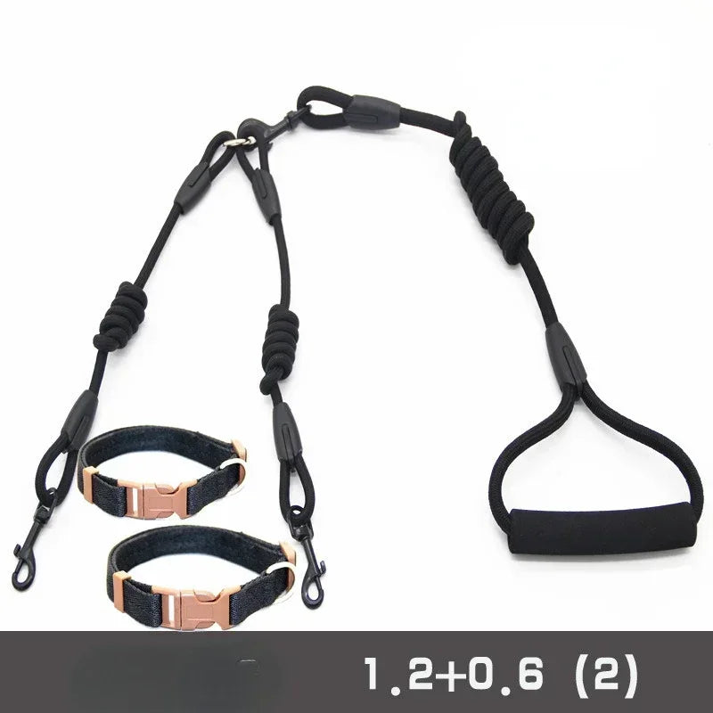 Leashes for 2 smaller Dogs