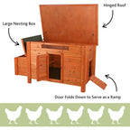 Chicken Coop