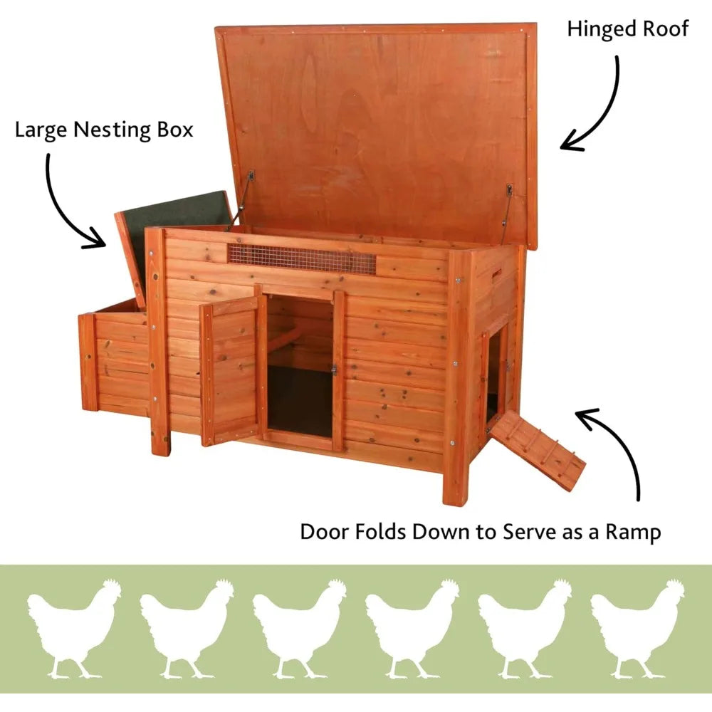 Chicken Coop