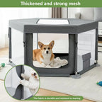 Play Pen Indoors
