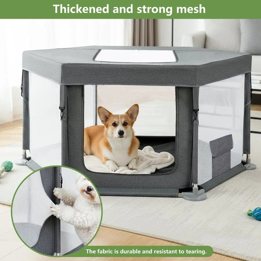 Play Pen Indoors
