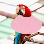 Bird Accessories Anti-bite