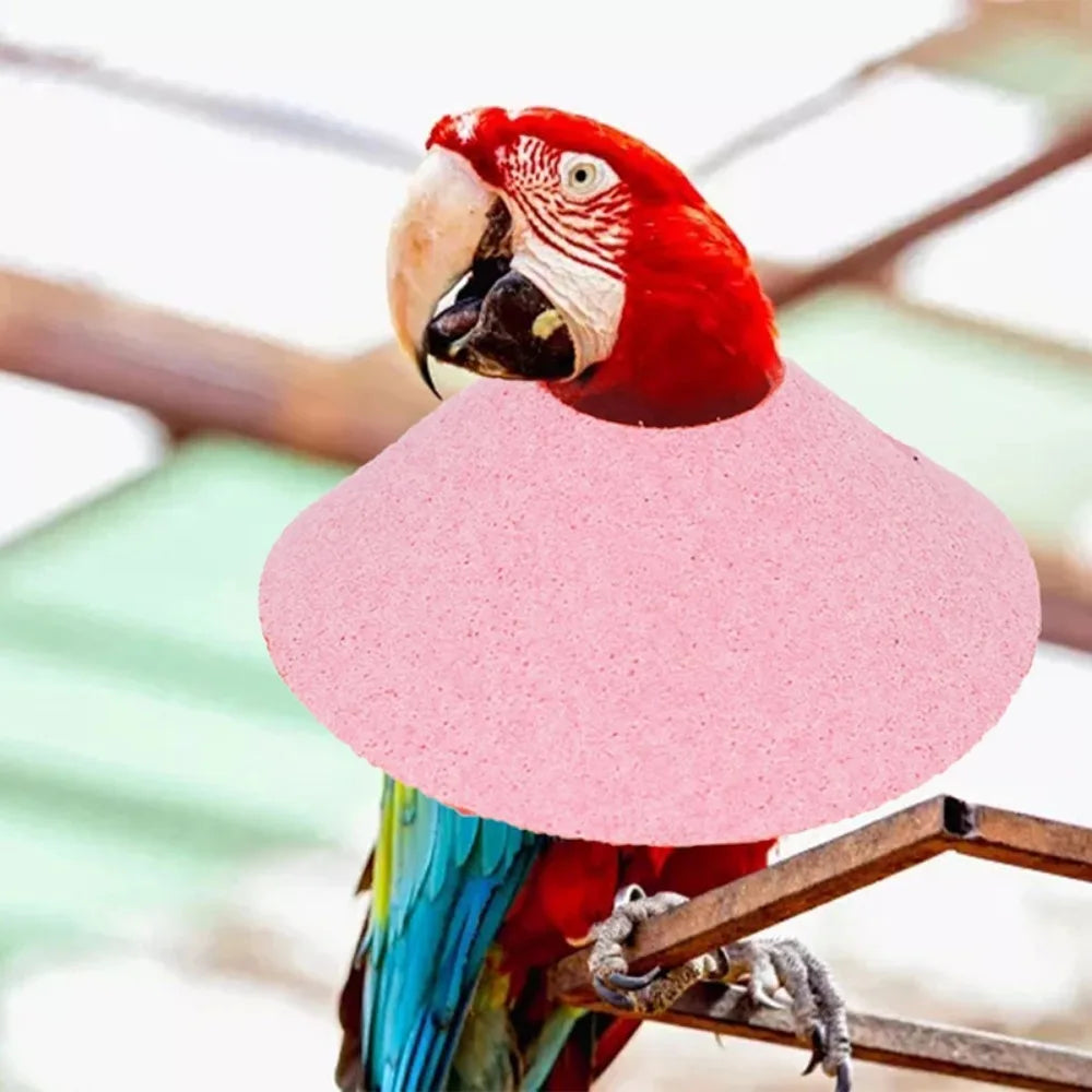 Bird Accessories Anti-bite