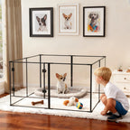 Acrylic Dog Playpen