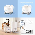 Cat Drinking Fountain
