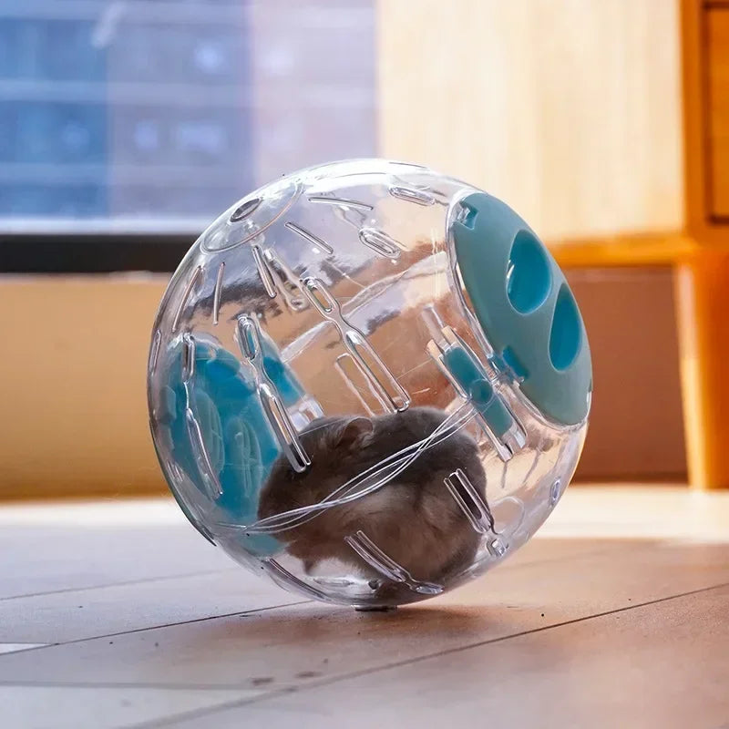 Plastic Outdoor Sport Ball