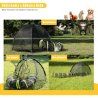Cat Enclosure/Circle Tunnel
