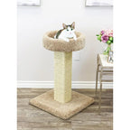Solid Wood Cat Scratching Post