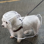 Transparent Raincoat