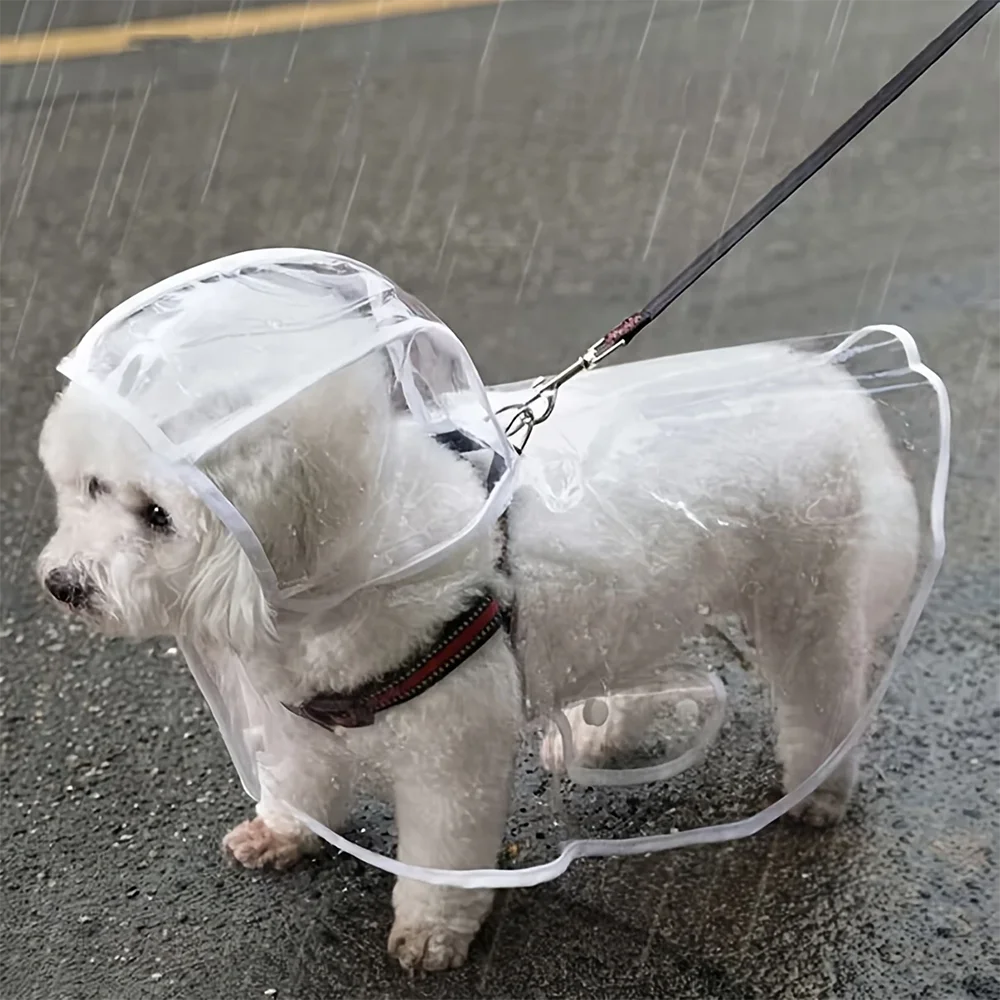 Transparent Raincoat