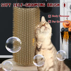 Scratching Posts for Indoor Cats