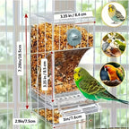 Transparent Automatic Bird Feeder