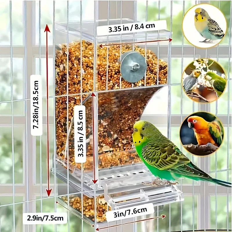 Transparent Automatic Bird Feeder