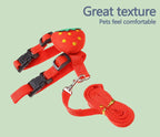 Rabbit/Cat Harness/Leash Set
