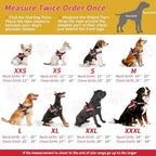 Service Dog Vest & ID Cards