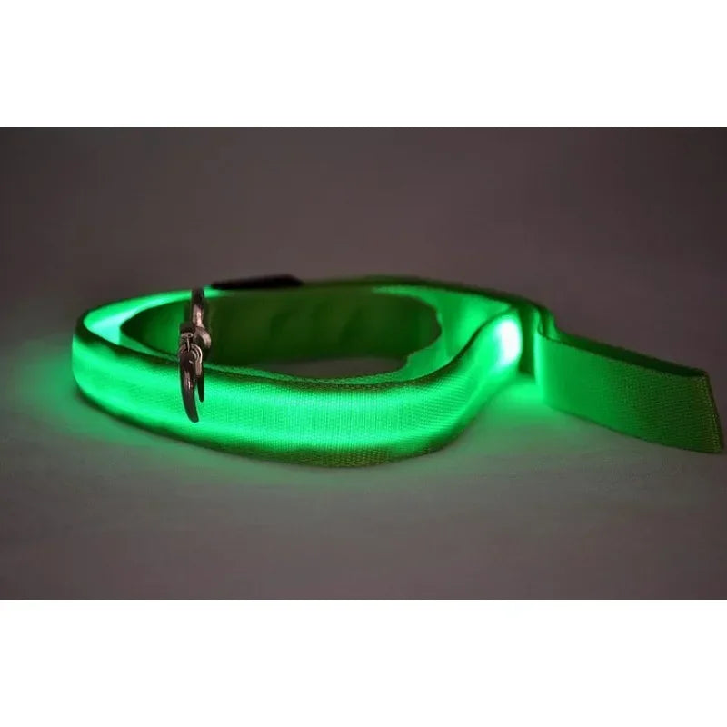 Flashing Leash Leash Rope