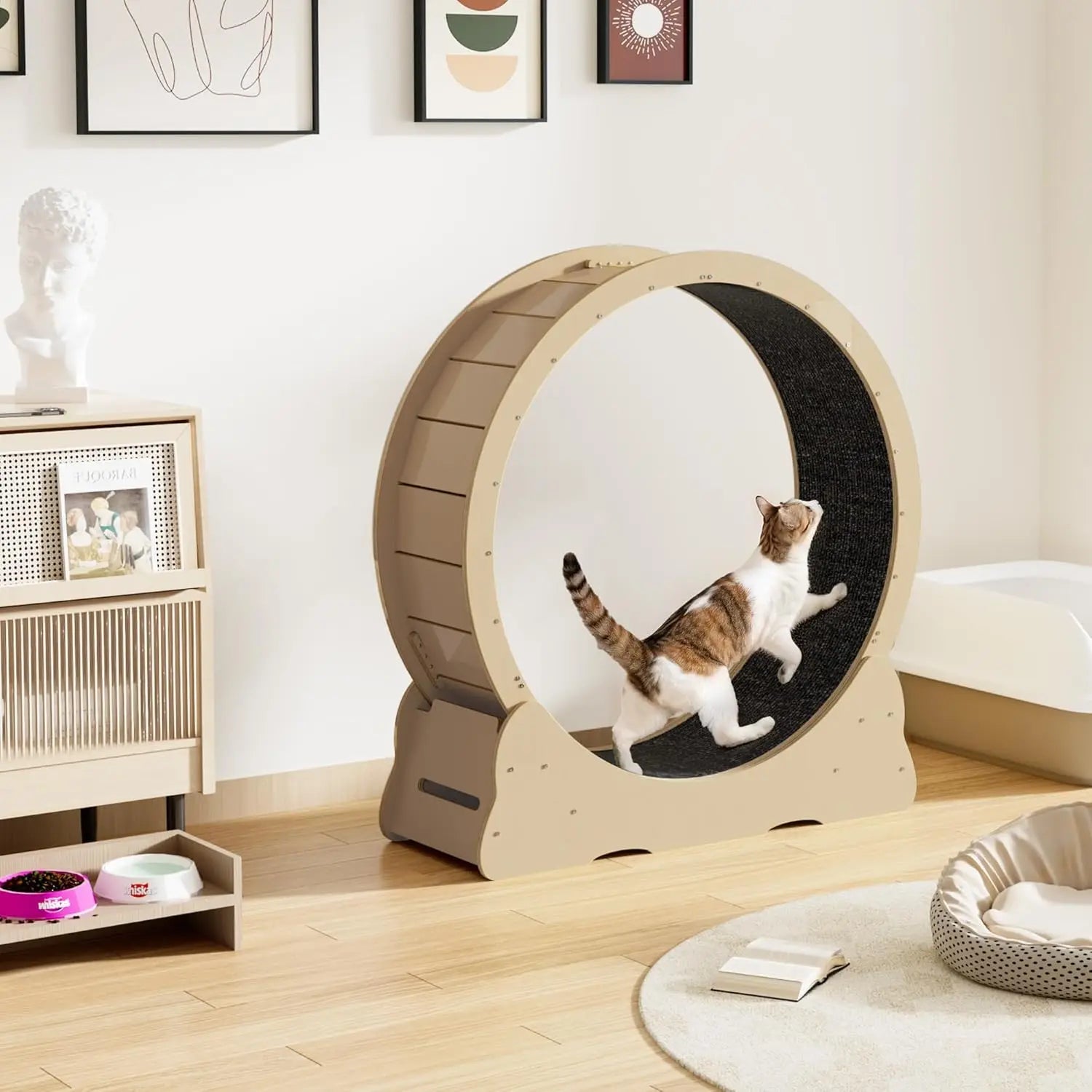 Cat Exercise Wheel Indoor