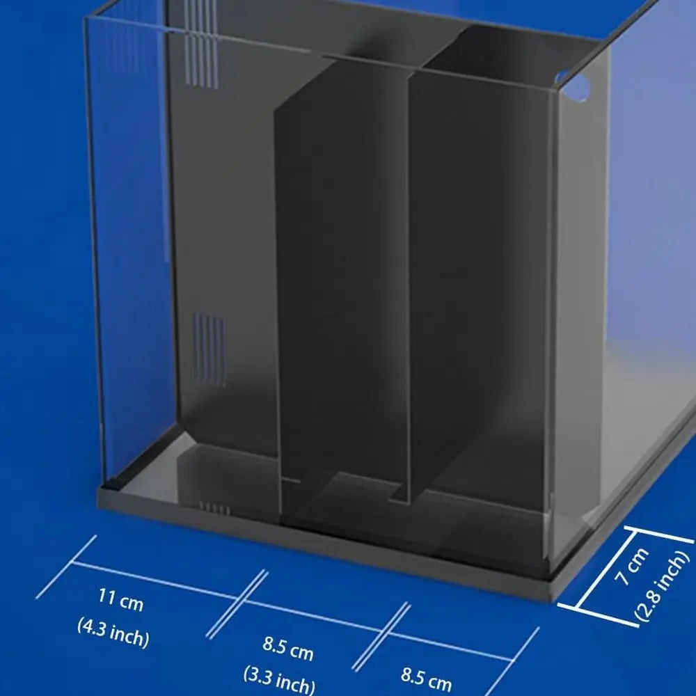 Curved Corner Saltwater Aquarium Rimless