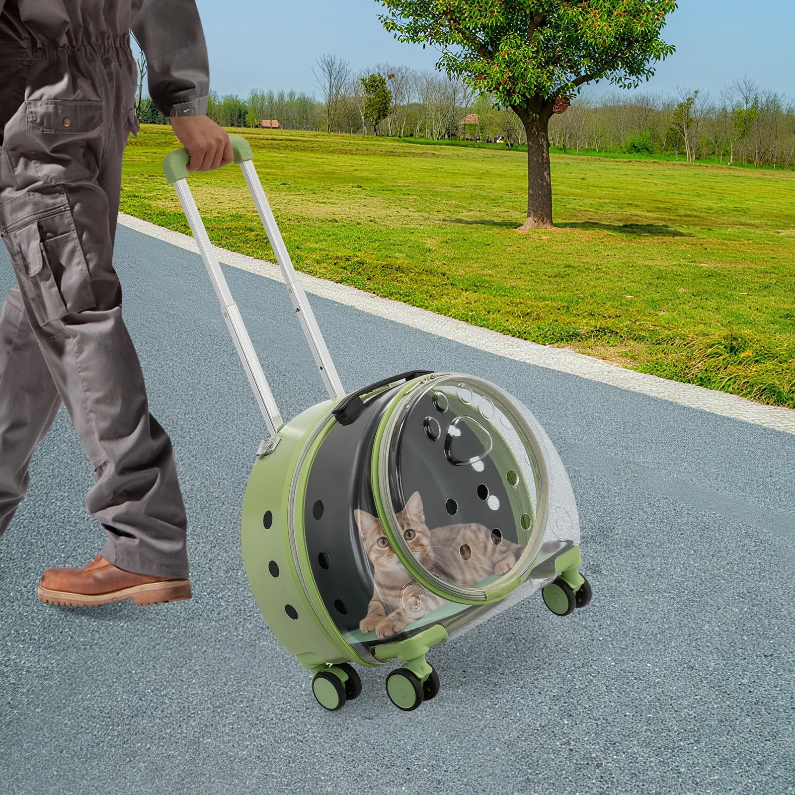 Cat Carrier with Wheels